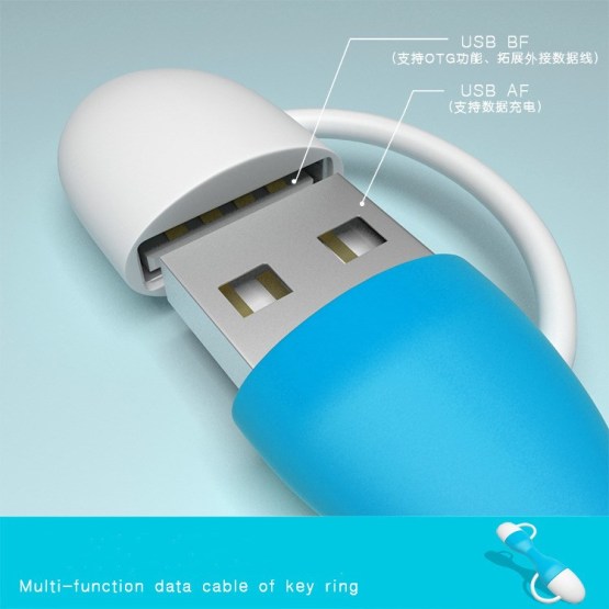 Multi-Function data cable of key ring