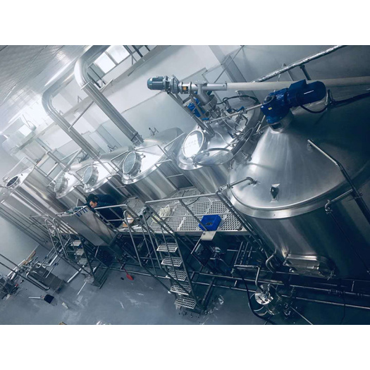Beer Equipment with Brewery Sanitary Processing System