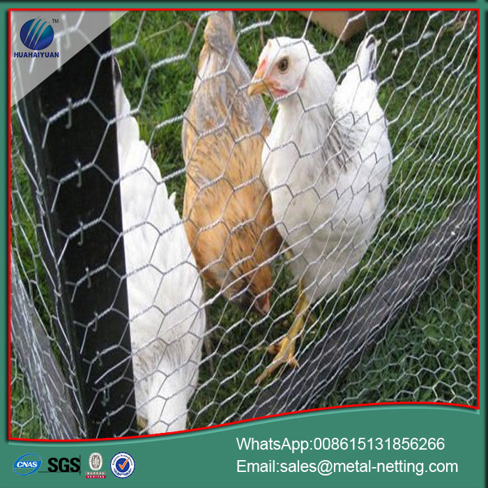 galvanized chicken wire hexagonal chicken mesh