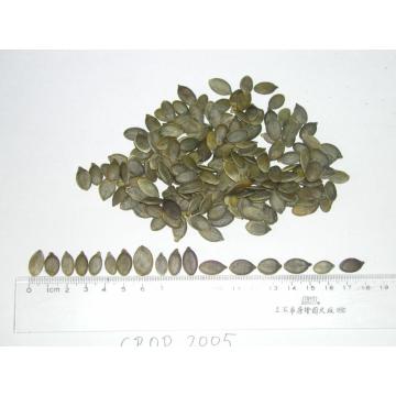 pumpkine seed kernels AA grade