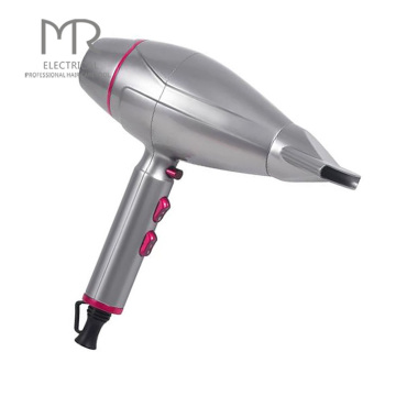 Customized Printed Hotel Bathroom Wall Mounted Electrical Hair Dryer for 1200W