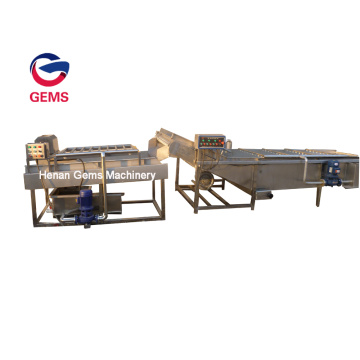Carrot Vegetable Washing And Drying Machine Price