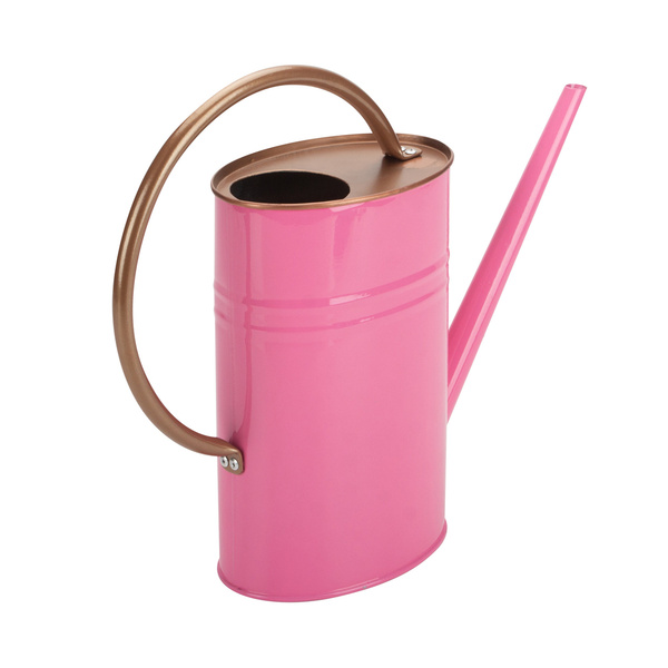 Pretty Pink Watering Can Flower Pot