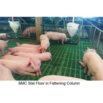 BMC Composite Floor in Pig Farm