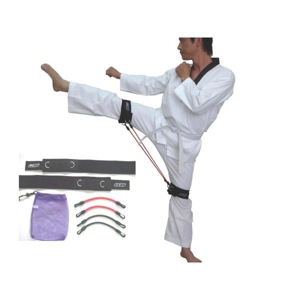 taekwondo kick training target