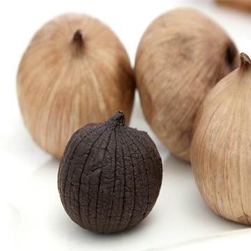 Single Black garlic with 30% water content