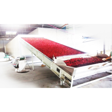 Chilli drying machine color quality high and energy saving.