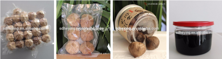 black garlic 