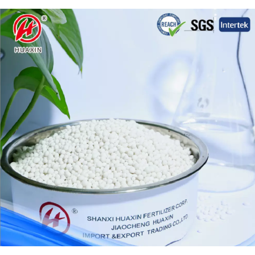 Nitrate based NPK Fertilizer 19-6-19