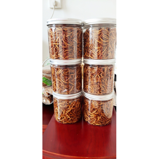 high protein from the mealworm