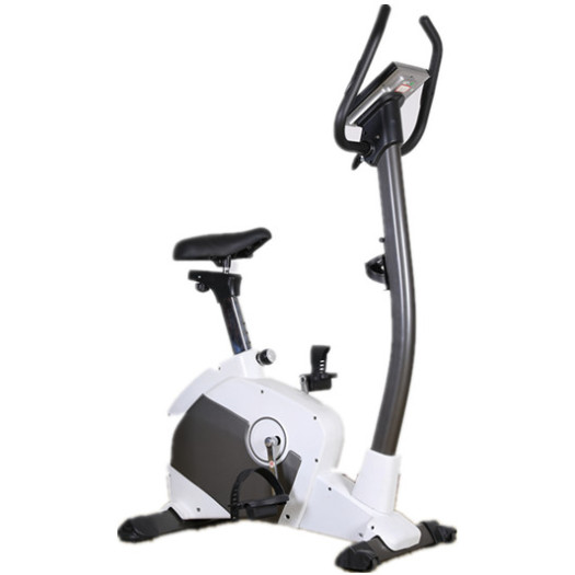 Indoor Exercise Upright Magnetic Bike