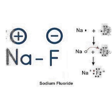 sodium fluoride keeps what molecules intact