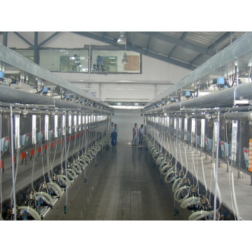 Parallel milking parlor for cows