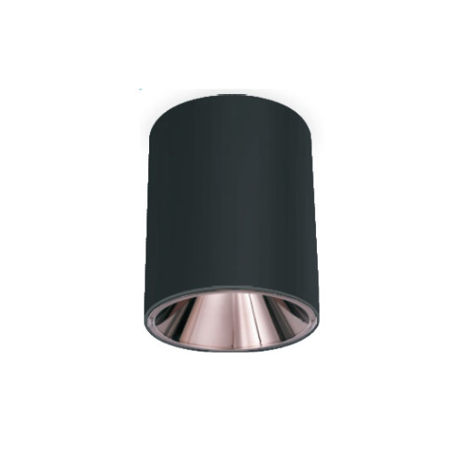 LEDER Cylindrical Bright 10W LED Downlight