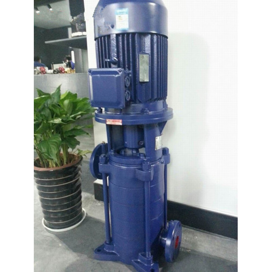 DL vertical multistage  centrifugal  pump
