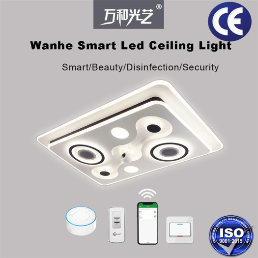 Smart Control Ceiling Lamps for  Living Room