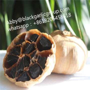 Vegetable products black garlic fermentated