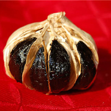 Nutrious and Healthy Food Whole Black Garlic