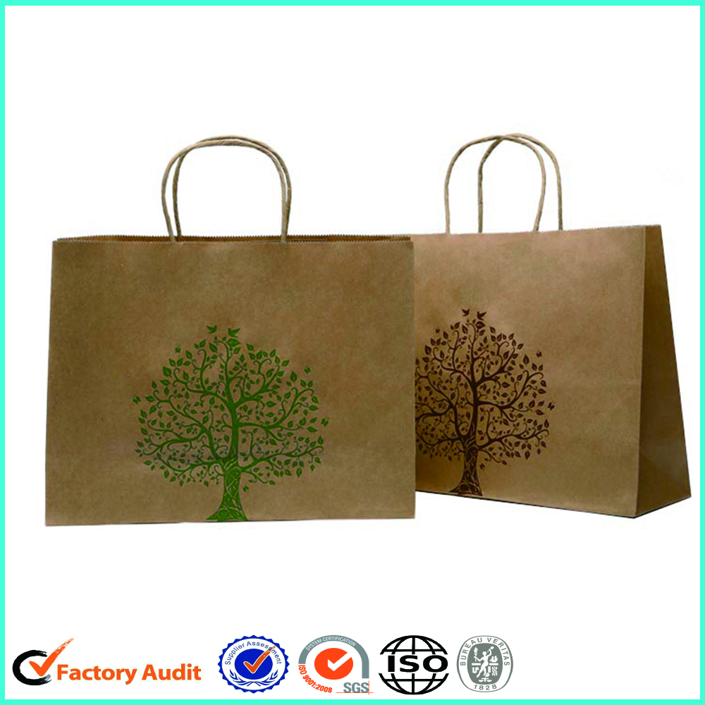 Eco Friendly Paper Shopping Bags With RibbonHandle