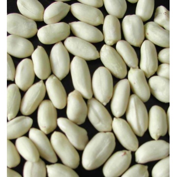 blanched peanuts kernels LUHUA