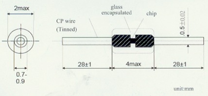 Glass Encapsulated Drawing 2