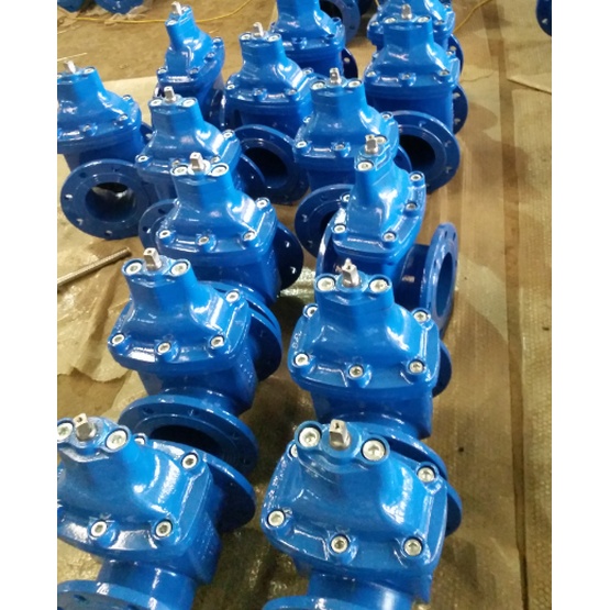 Resilient seated DI gate valve