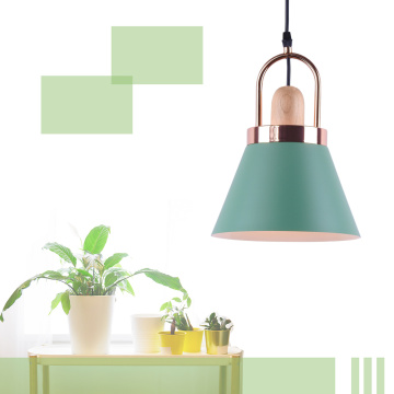 Modern Newest   Pendant Lights For Home