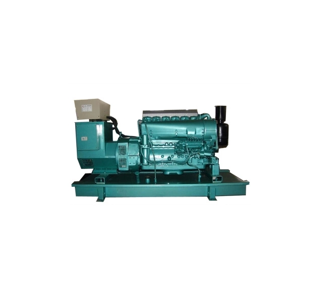 Brushless 310kw Power Generator