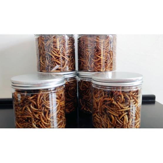 pet snake food of mealworm