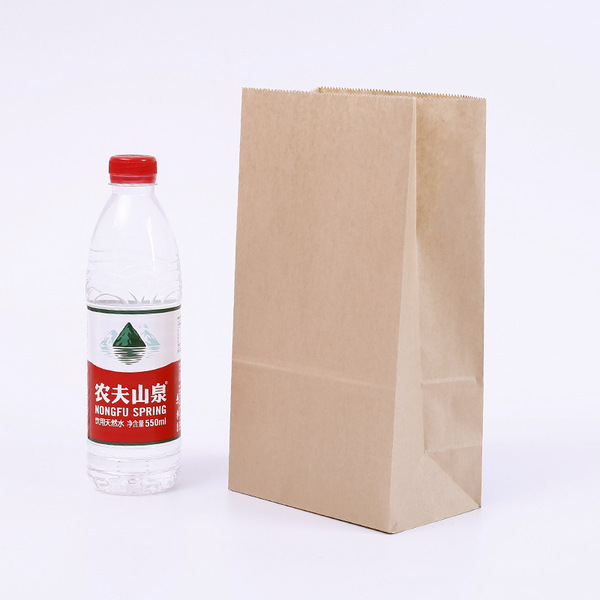 environmental  protection PLA paper bag