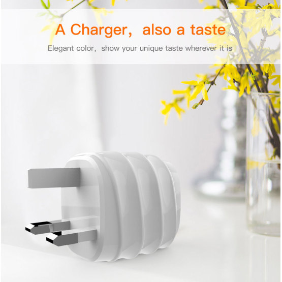 Dual Port Mobile Phone Charger USB Wall Charger