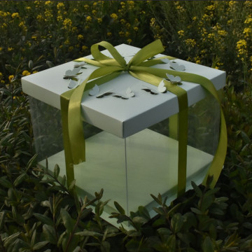 Plastic box packaging design for cake
