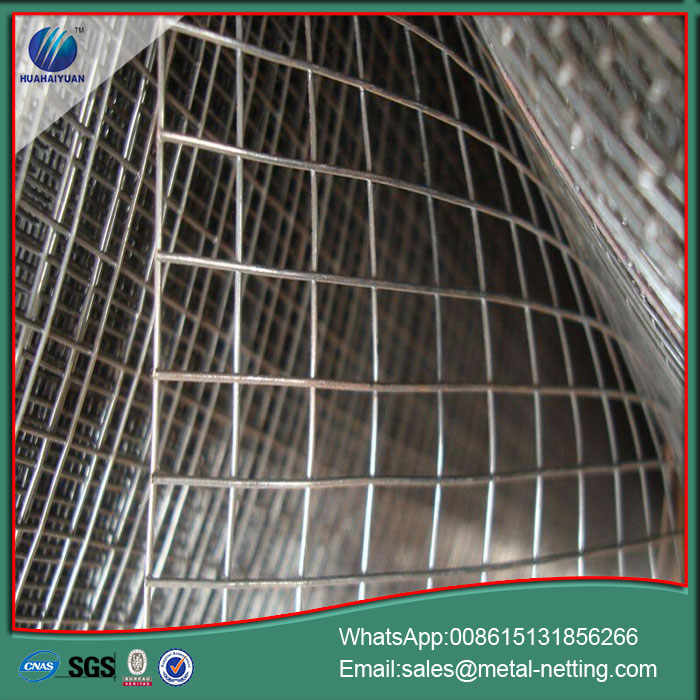welded wire mesh galvanized welded mesh roll