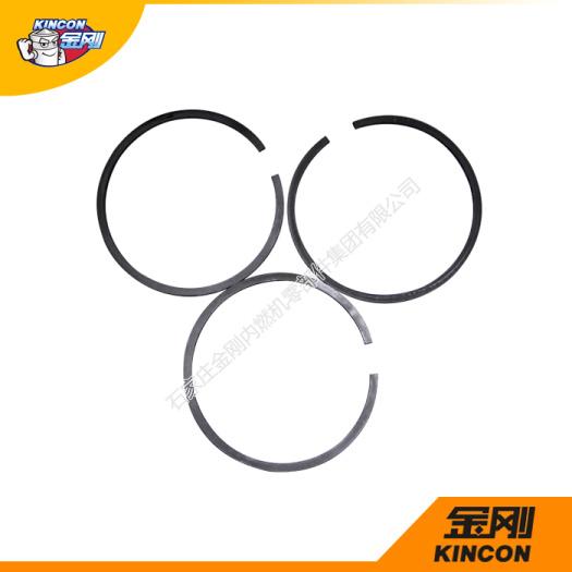 Engine Piston Ring 5L8855