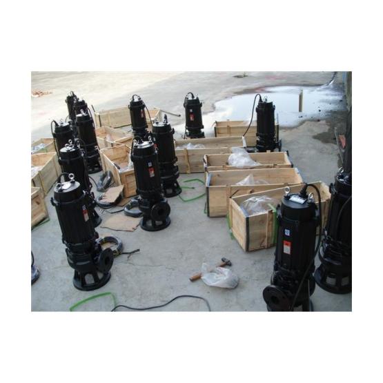 QW (WQ) YW LW GW sewage pump