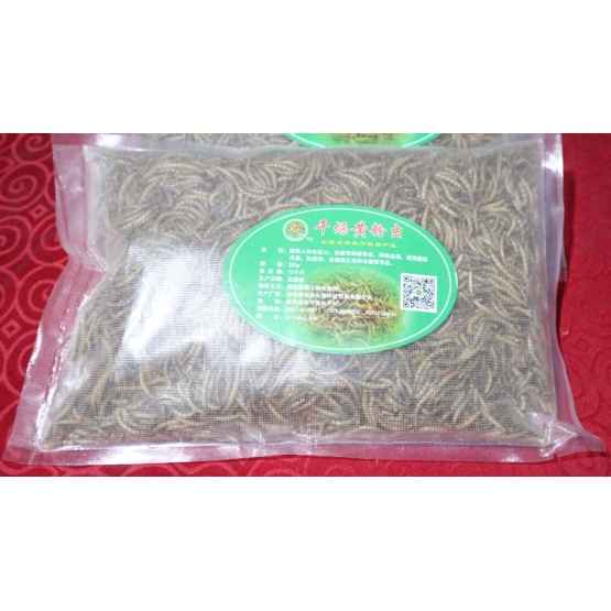 Yellow Mealworms Dried Mealworm