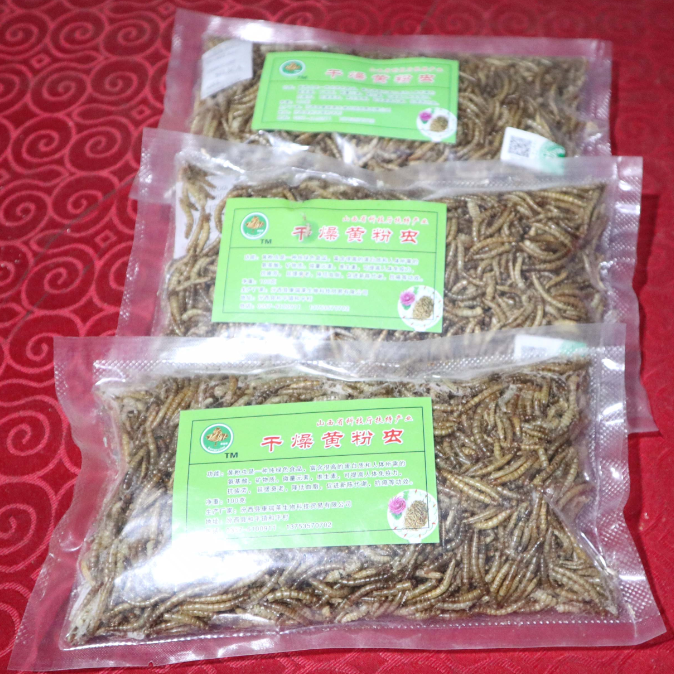 Dried Mealworm Animal Feed
