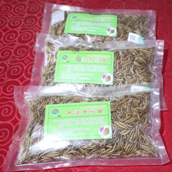 Dried Mealworms For Pet Food