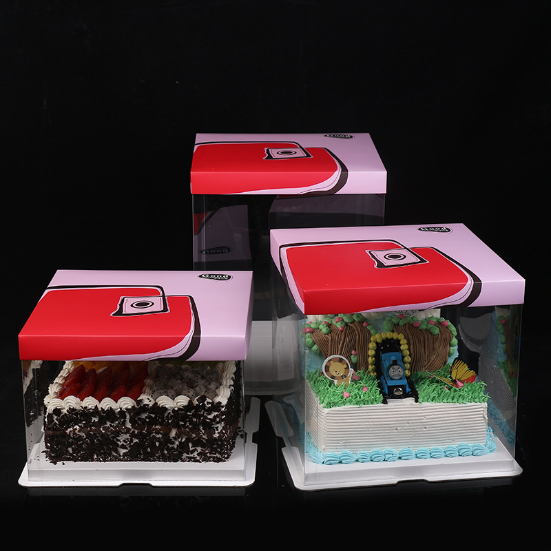 Plastic Cake Box 5
