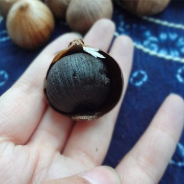 Organic single bulb Black Garlic with skin