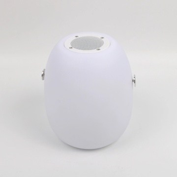 Smart Lamp With Speaker