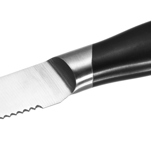 Garwin serrated steak knife with double bolsters