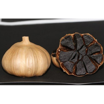 Health whole Black Garlic for Culinary