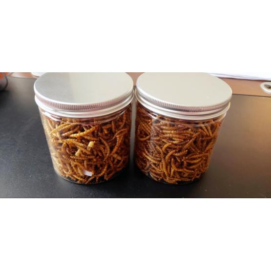 cheap fish food mealworm