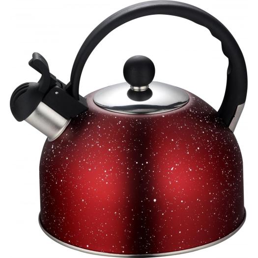 2.5L best tea kettle for electric stove