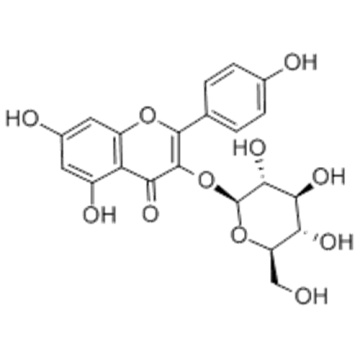 ASTRAGALIN CAS 480-10-4