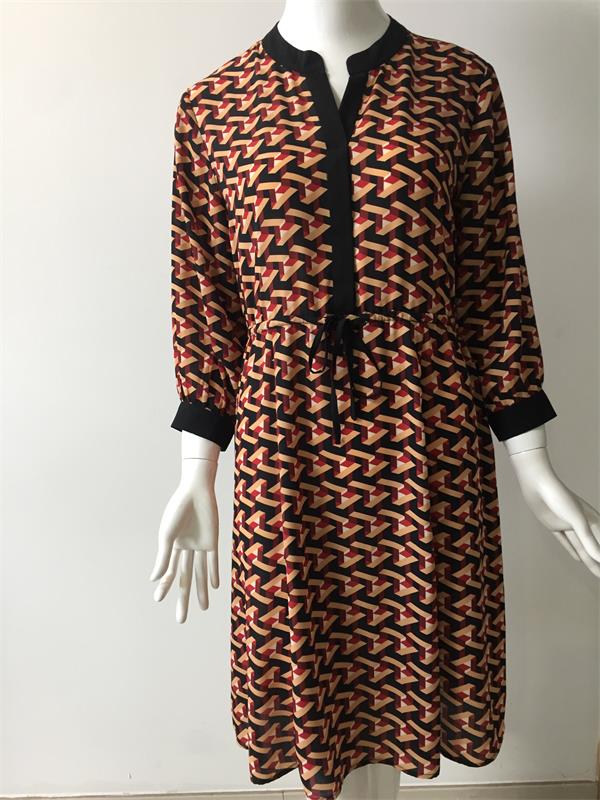 Long Sleeve Printed Dress for Woman