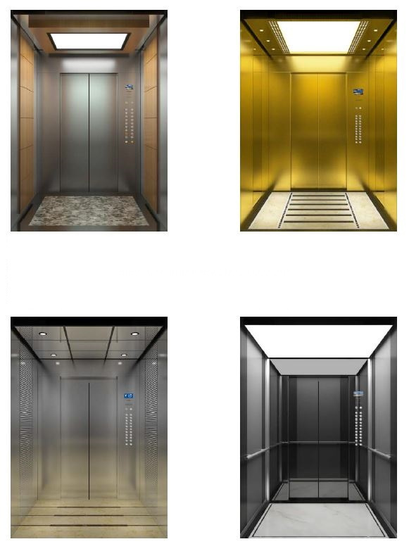 CEP3100 Small Machine Room Residential Elevator