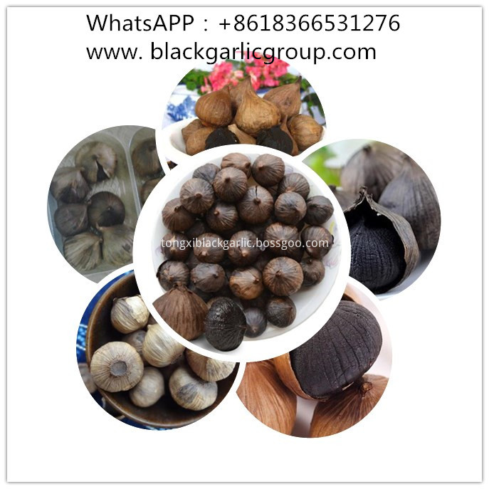 Special Processing in Black Garlic