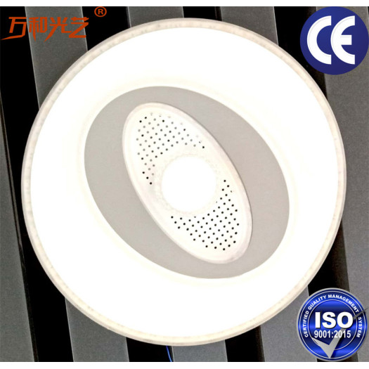 Modern Bedroom Ceiling Lamp  with Remote Monitoring